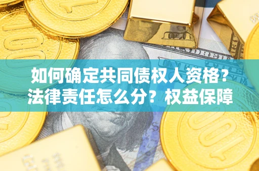 北京如何确定共同债权人资格？法律责任怎么分？权益保障技巧揭秘！