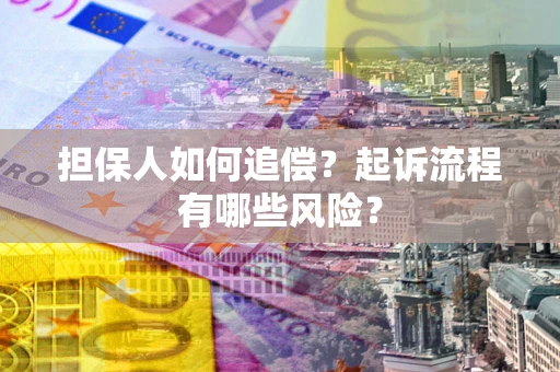 北京担保人如何追偿？起诉流程有哪些风险？