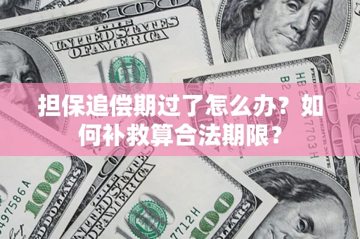 北京担保追偿期过了怎么办？如何补救算合法期限？